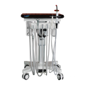 Pet clinic dental equipment mobile veterinary dental chair unit sale